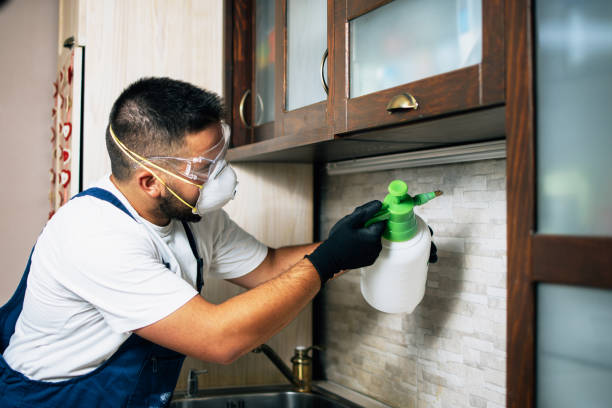 Best Rat Extermination Near Me  in Highland Springs, VA