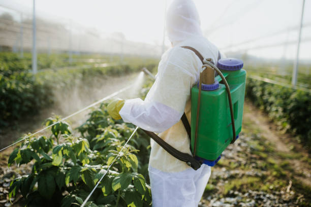 Best Wildlife Control Services  in Highland Springs, VA